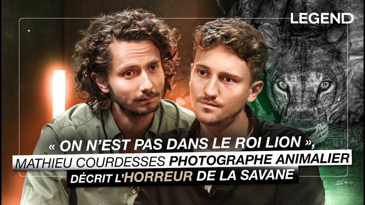« ON N’EST PAS DANS LE ROI LION », CE PHOTOGRAPHE ANIMALIER DÉCRIT L’HORREUR DE LA SAVANE