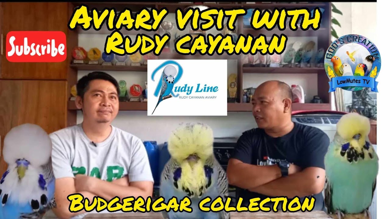 Aviary visit with RUDY CAYANAN from BINANGONAN RIZAL /BIRD SHOW VETERANS /BUDGERIGAR BREEDER