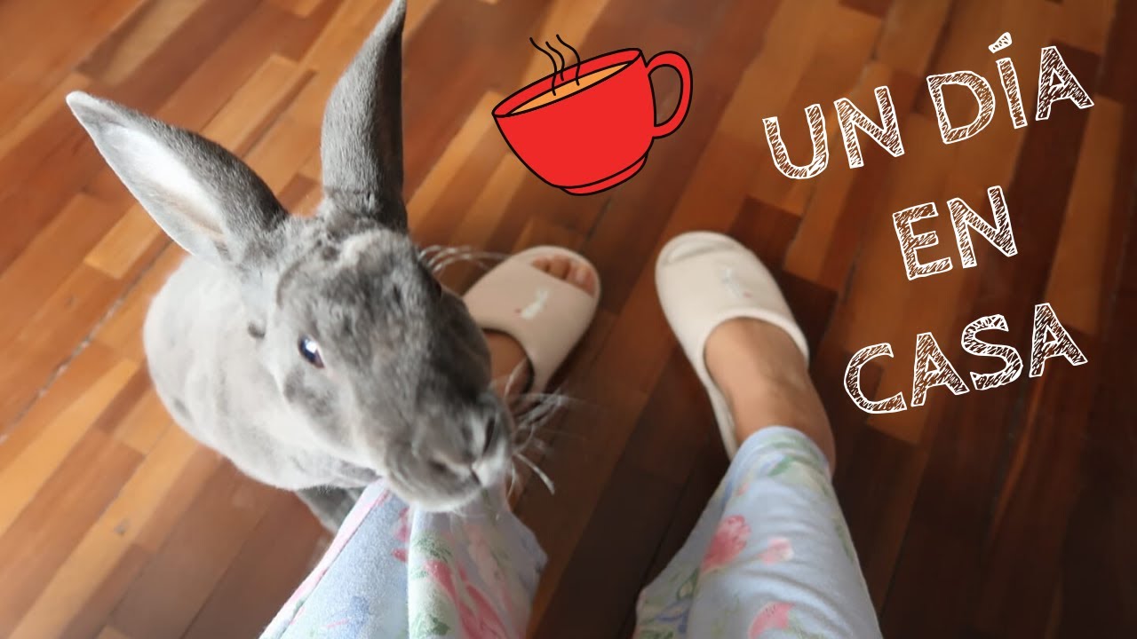 UN DÍA CON 2 CONEJOS 🎀 🐇🐇-vlog # 8
