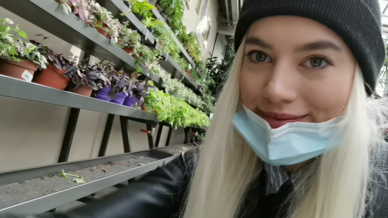 Rośliny do terrarium . Idziemy na zakupy !