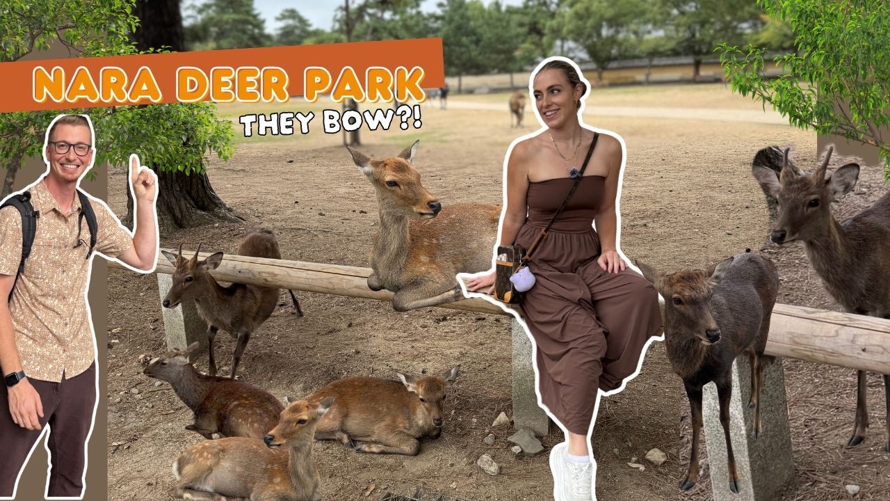 Nara Deer Park & the Great Buddha | Day Trip from Osaka + Dotonbori Food
