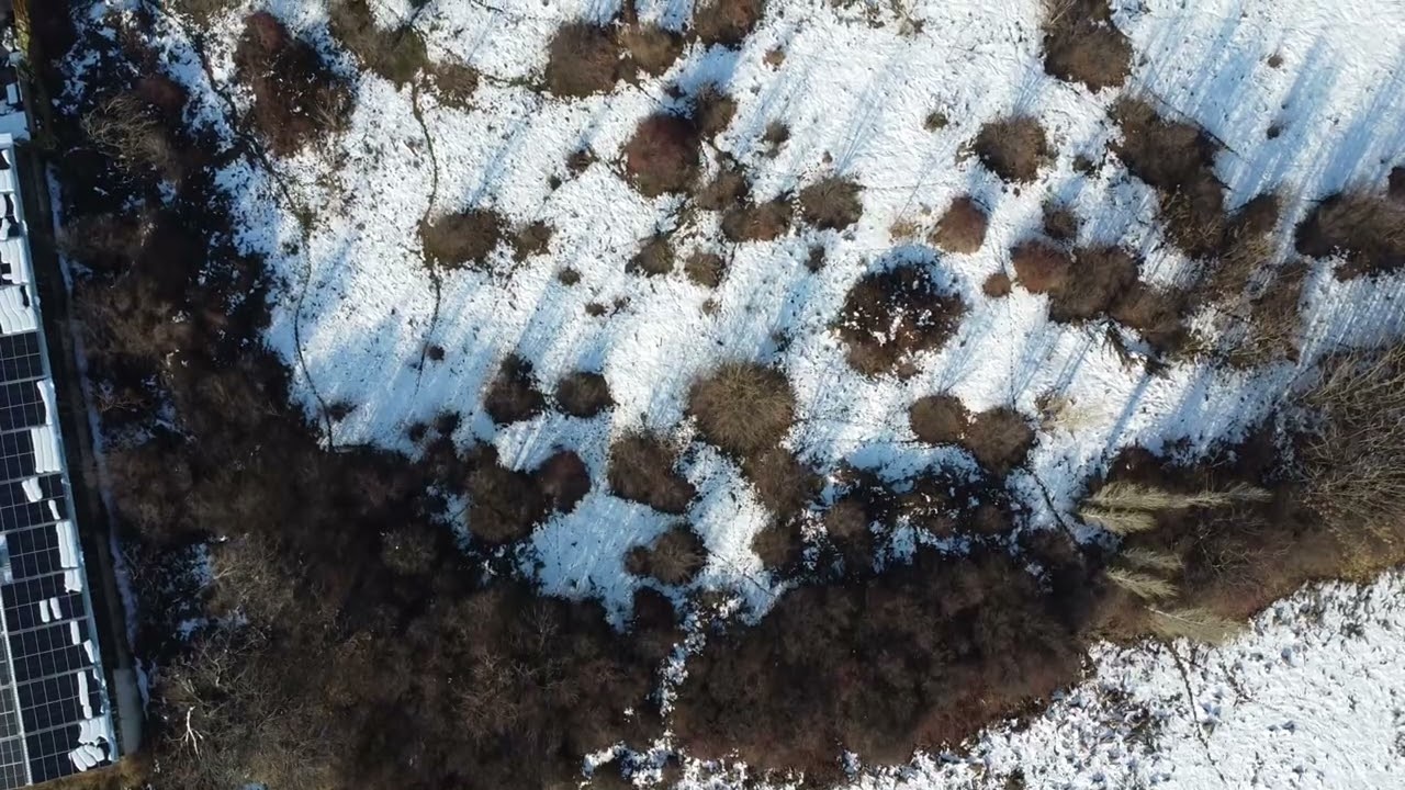 Парцел с. Ивайло