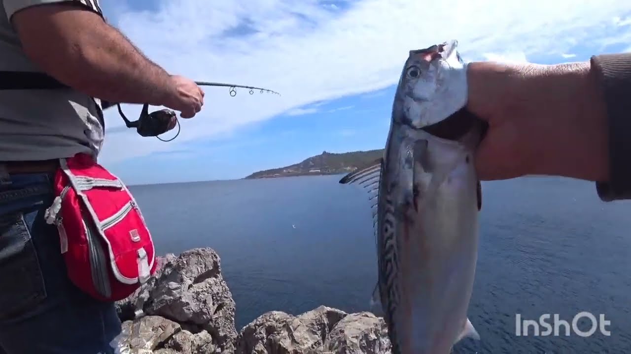 الصيد والطبخ في قرية #بليونش موسم جديد لي سمكة باكورة العنيدة 2023#fishing #moroco #صيد #سمك ##بحر