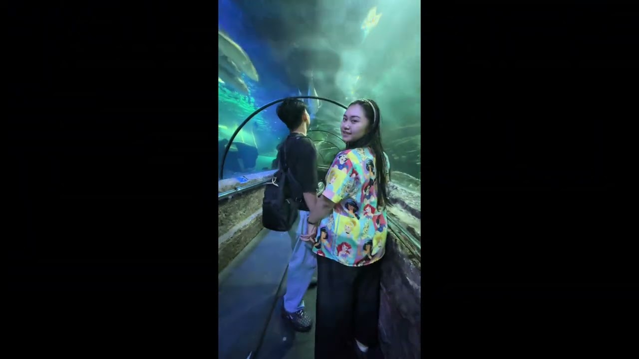 narra is here, samudera ocean, sea world, bird land~
