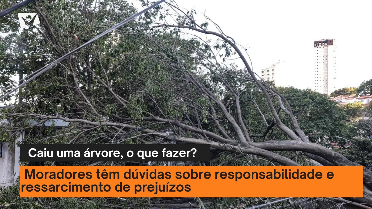 Chuvas fortes causam quedas de árvores no Vale do Paraíba