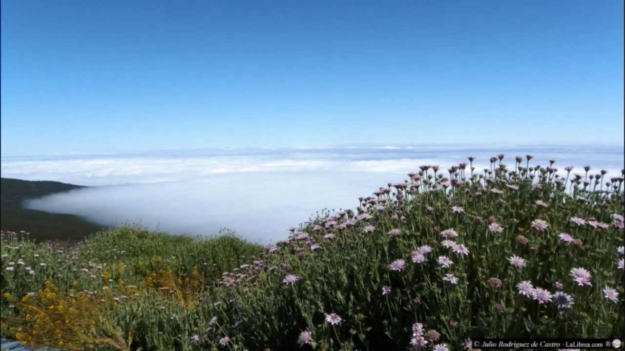 Parque Nacional de Las Cañadas del Teide - Documental