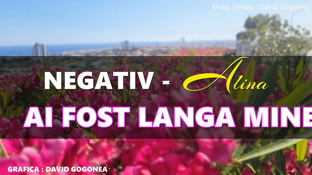 NEGATIV - SORA ALINA  ❌ AI FOST LANGA MINE  ( INSTRUMENTAL FR. GHITA )