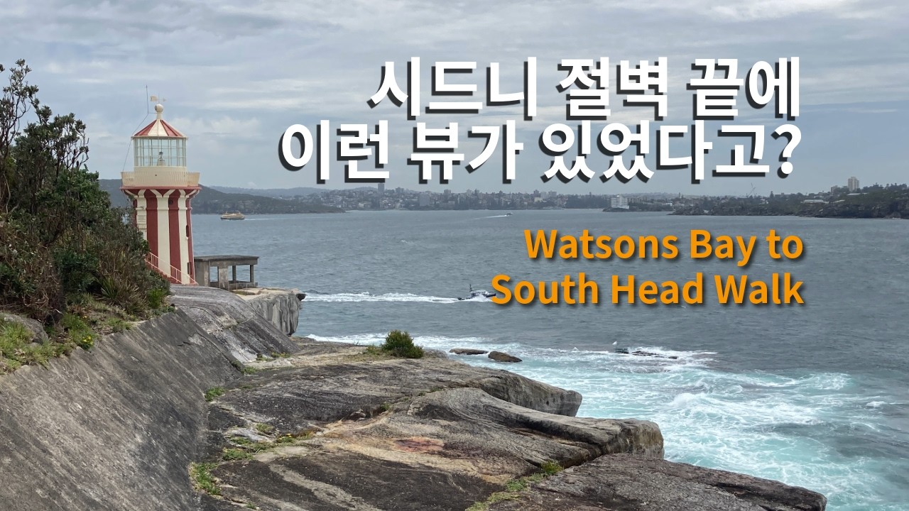 시드니 절벽 끝에 이런 뷰가 있었다고? / Watsons Bay to South Head Walk