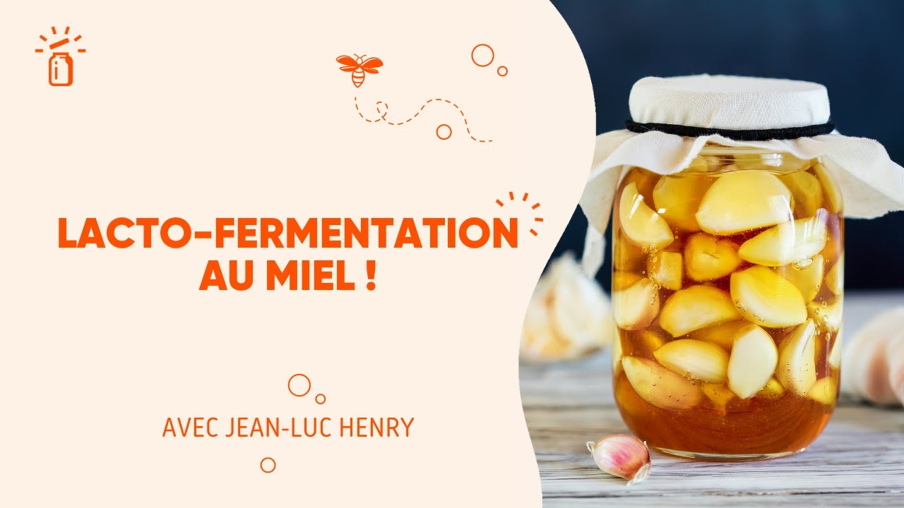 La Lacto-Fermentation au miel !