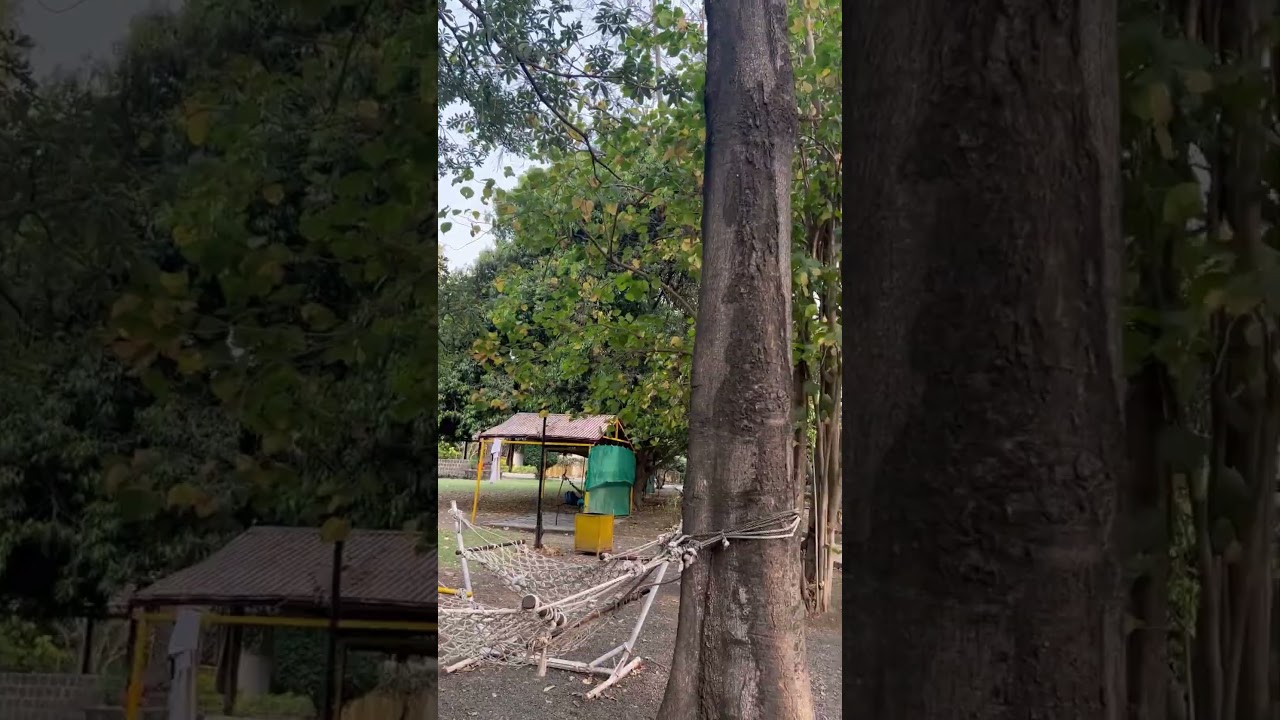 Tafreeh Eco park #shorts #viral 😍🔥