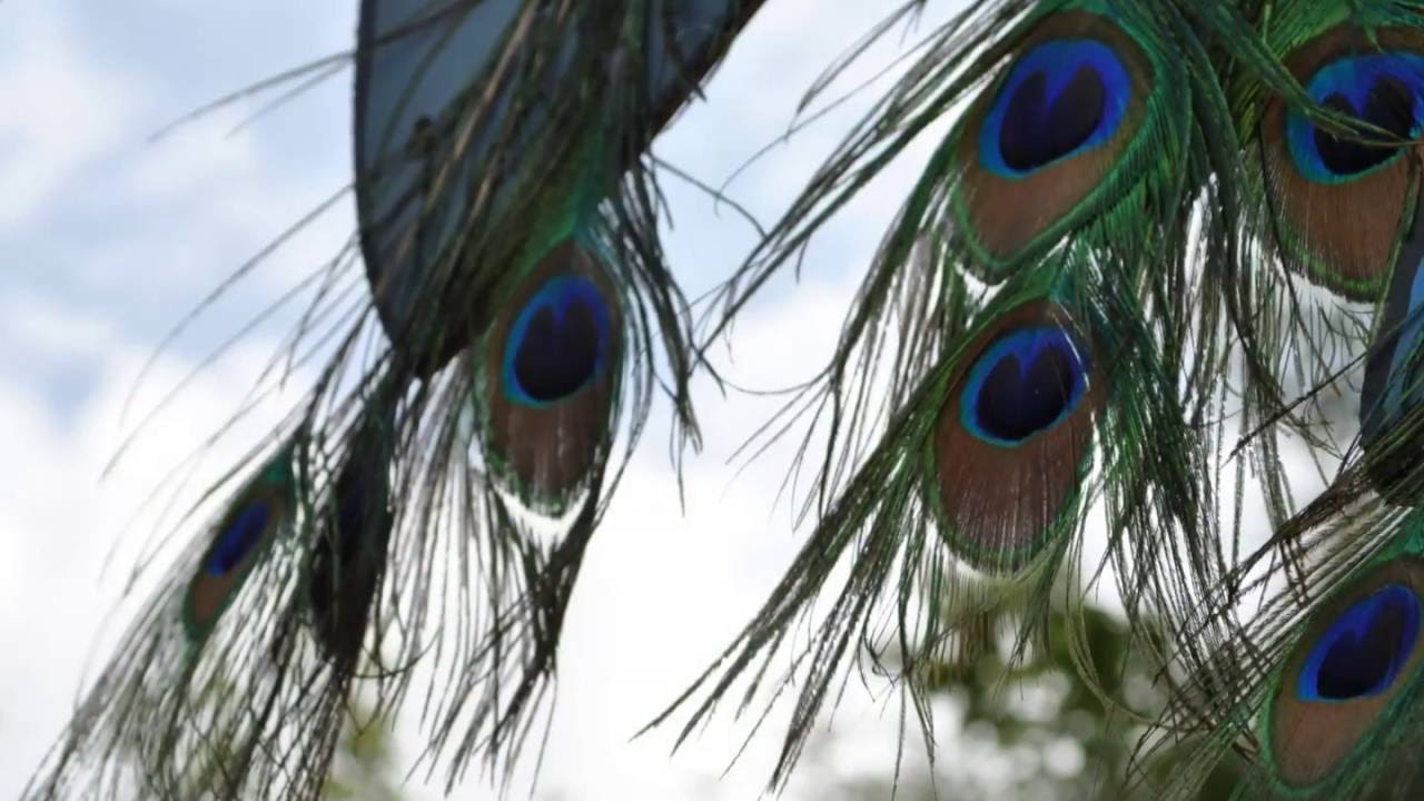 Zuflucht Open Air by Rakete & Kiste Baden