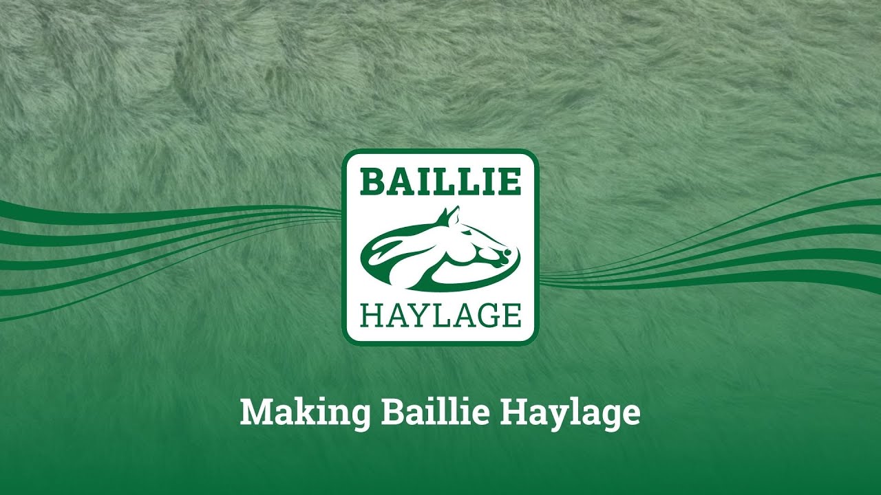Making Baillie Haylage