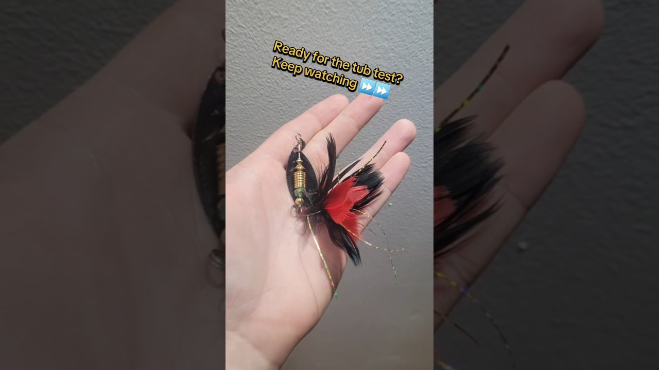 OCF Black Brasser - Red Tail