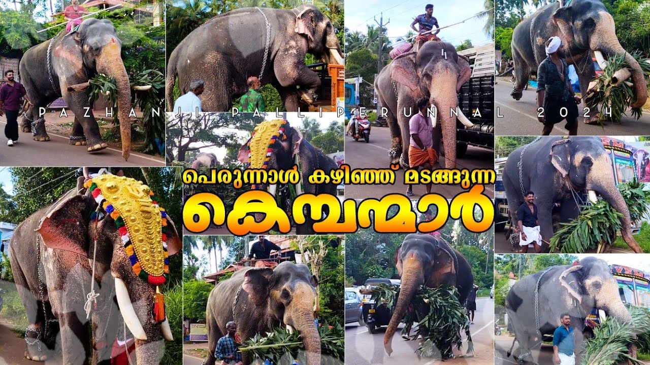 പെരുന്നാൾ ഭംഗിയാക്കി മടങ്ങുന്ന കൊമ്പന്മാർ | Pazhanji Palliperunnal 2024
