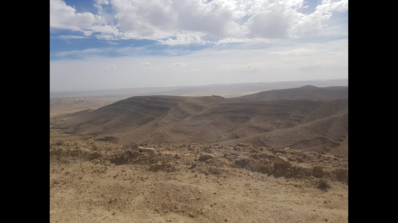 מעלה משורה   סכין ציפורים