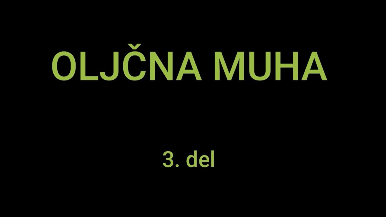 Oljčna muha 3  del