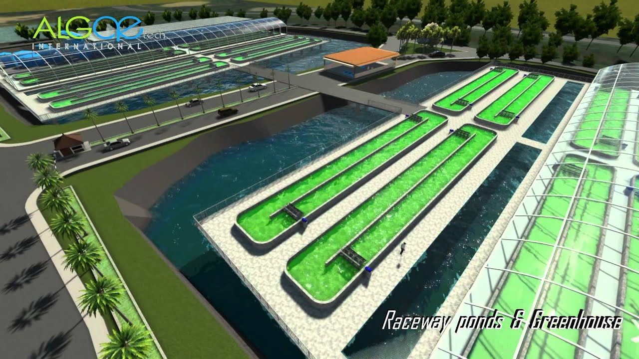 Open Ponds Algae Project - TPM Malaysia
