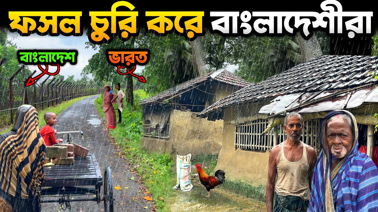 বর্ষায় ভারতের শেষ গ্রামের দুর্দশা | ফসল চুরি করে বাংলাদেশীরা | Border Village Rainy Day