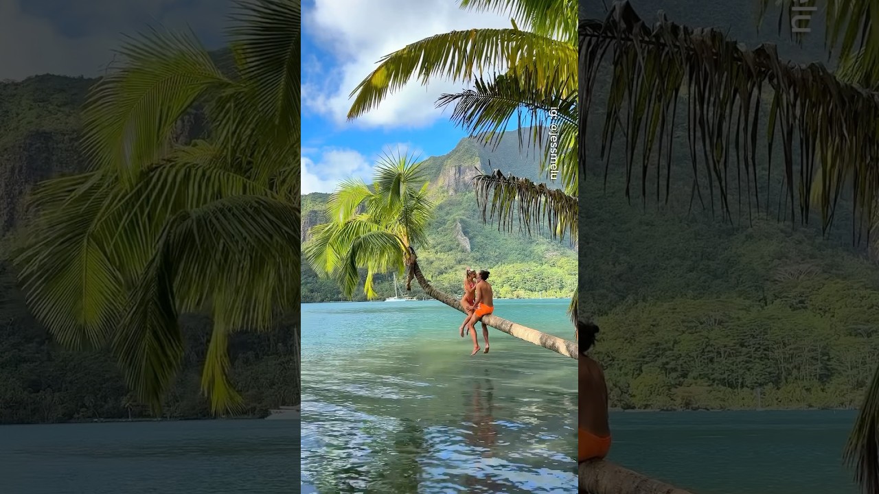Places in French Polynesia that don't feel real🇵🇫🤯 #travel #adventure #explore #nature #polynesia