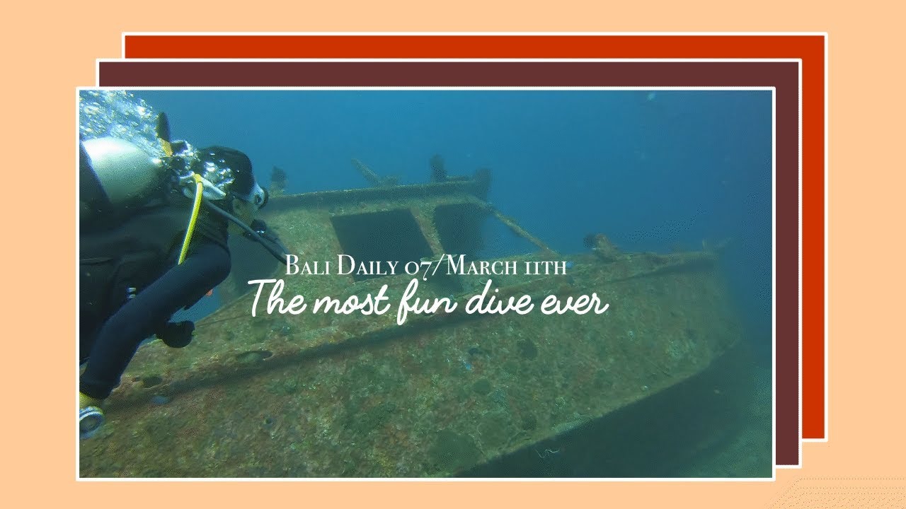 Bali Daily Vlog 07 | 巴厘岛潜水去看沉船 佛像