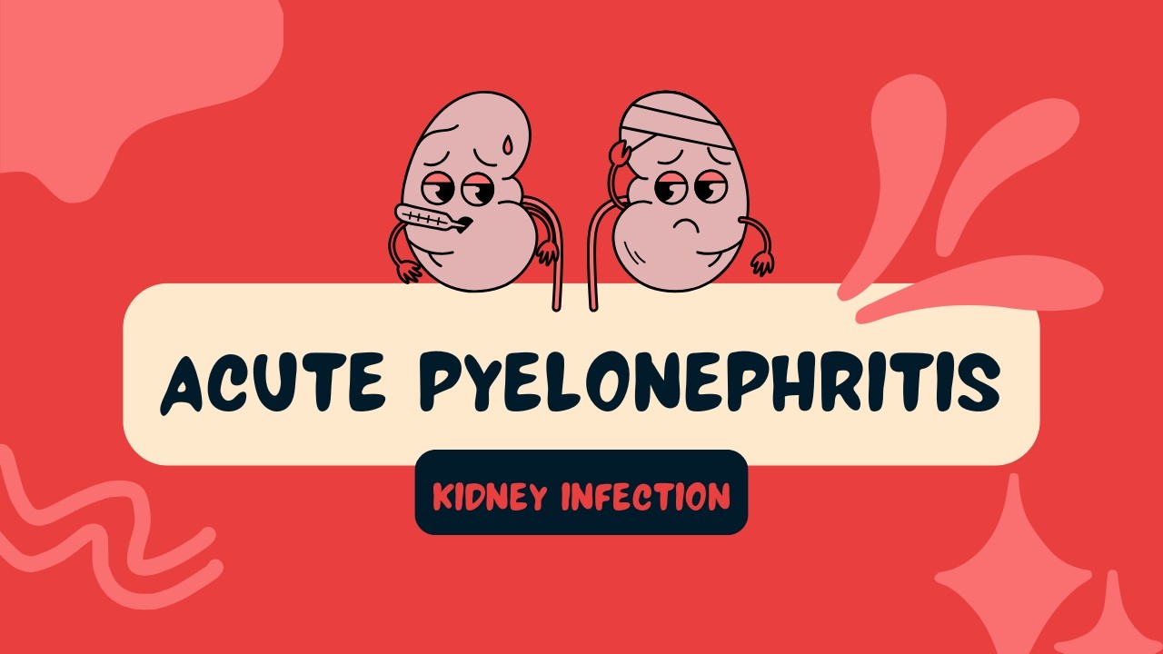 Acute Pyelonephritis (Kidney Infection) | Causes, Signs & Symptoms, Diagnosis, Treatment