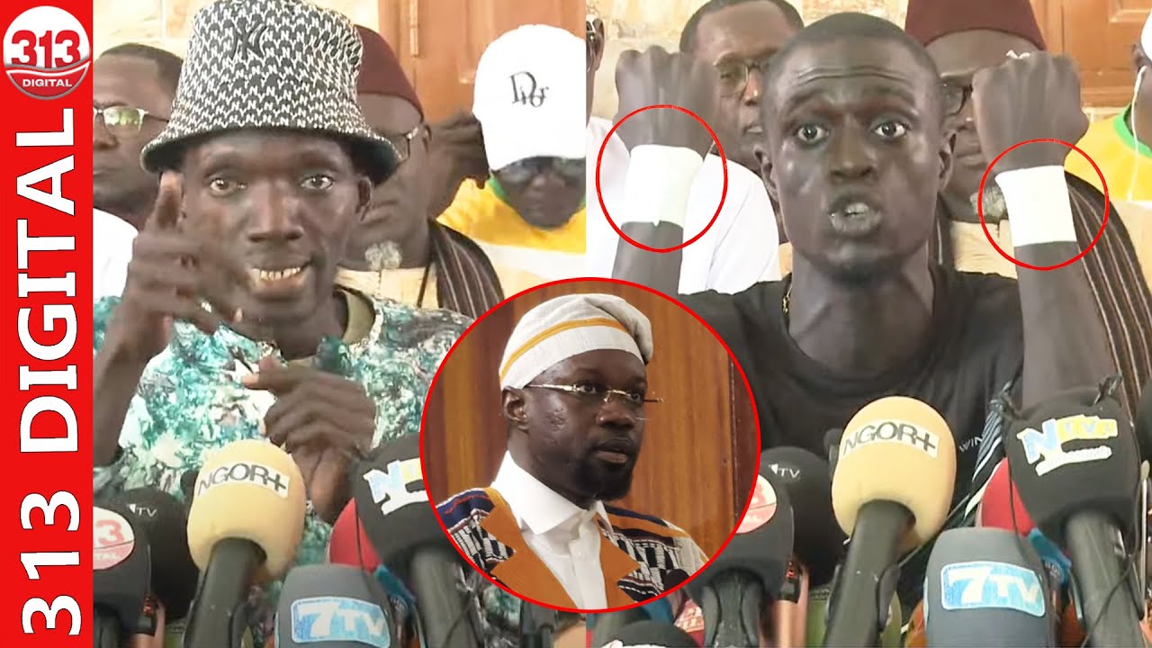 “Paréna pour khékh” la réplique salée du TikTokeur de Sonko après les propos de ses...