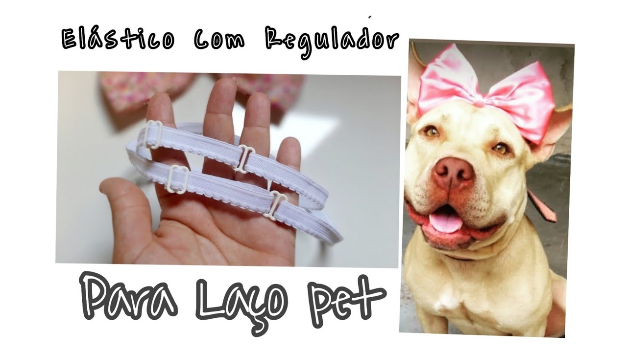 Como Colocar Regulador No Elástico - Tiara Para Cachorro De Pelo Curto