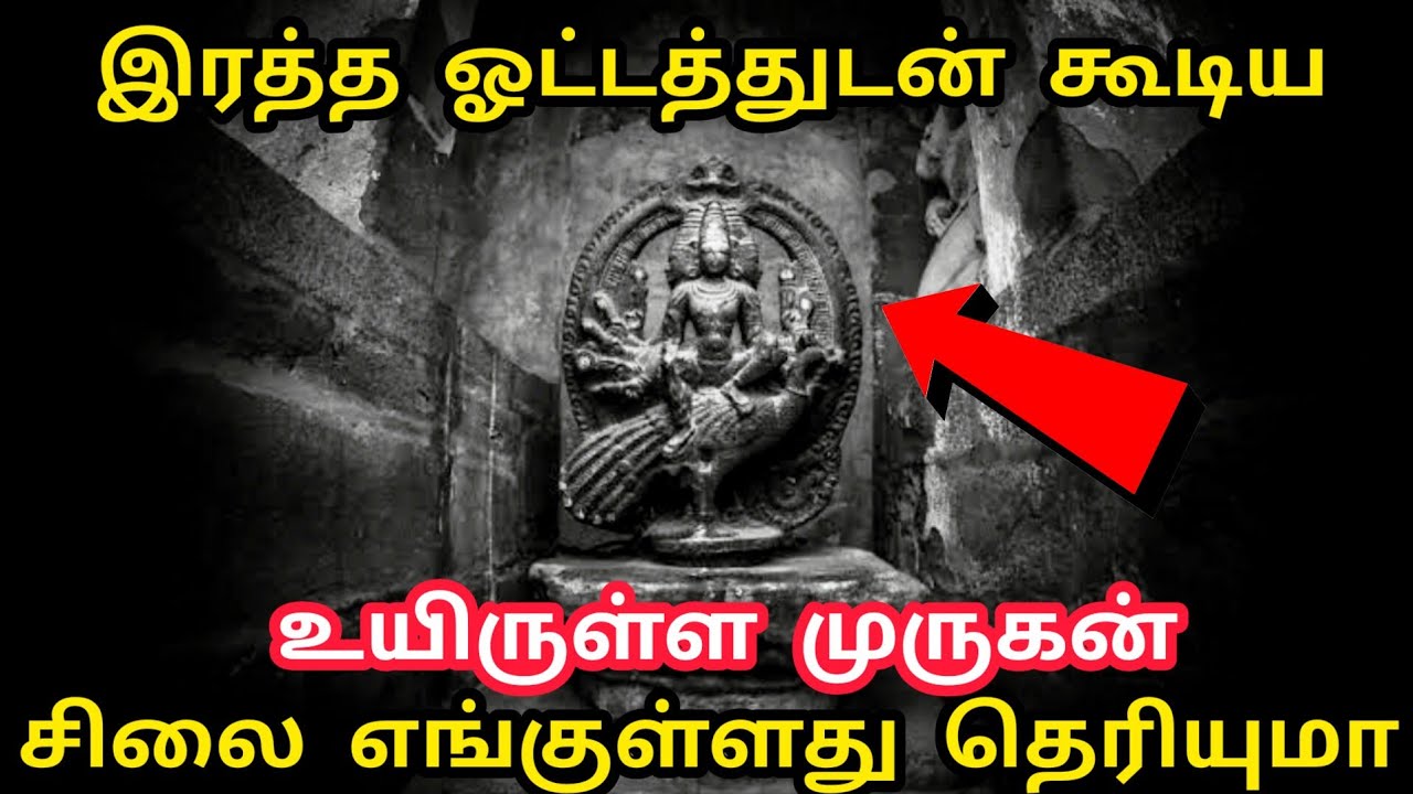 இரத்த ஓட்டத்துடன் உயிருள்ள முருகன் சிலை | ஆதி படைவீடு | A living Murugan idol with blood flow