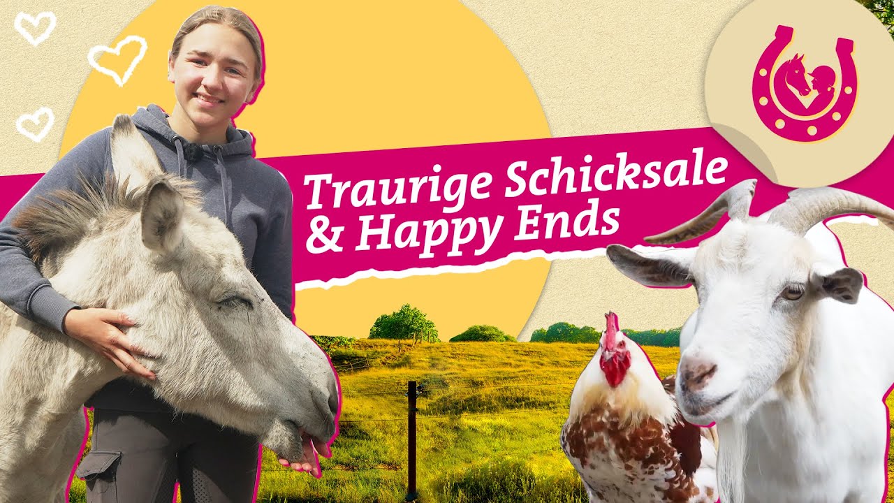 Lia besucht einen Gnadenhof | Mein Pferdesommer