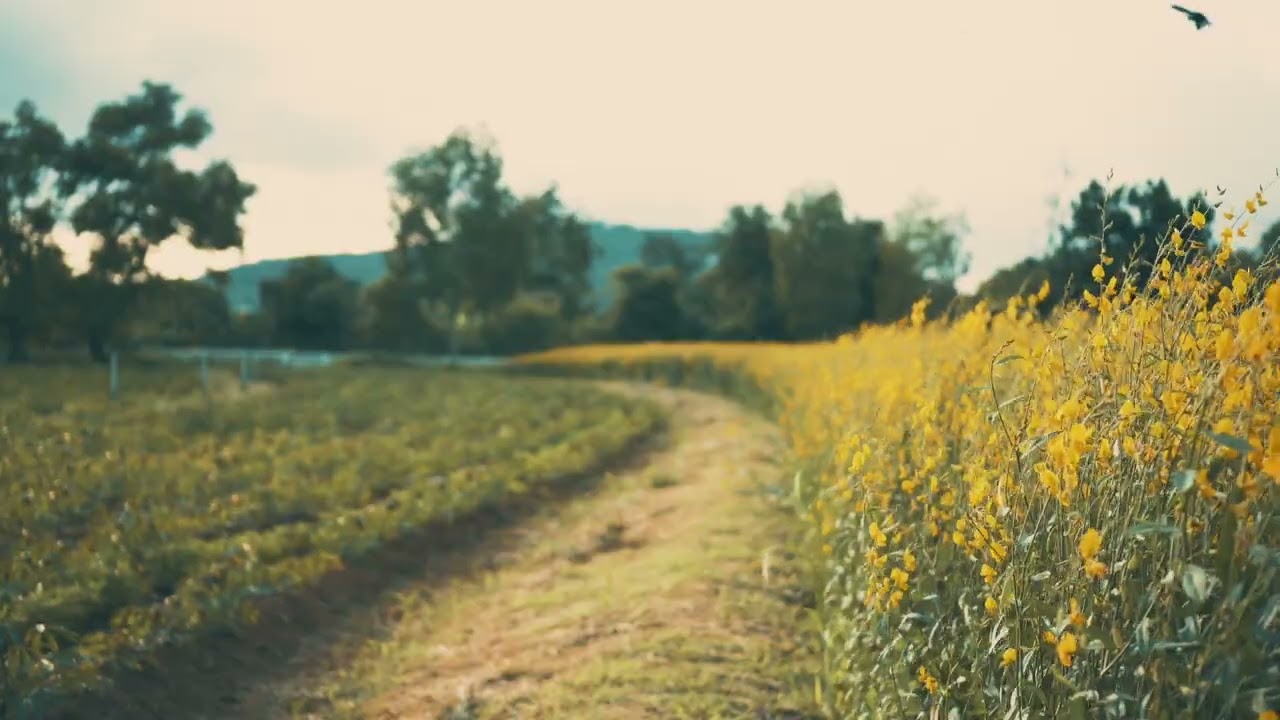 When Calm Feels Wrong: A Holy Panic Meditation for Erev Shabbat