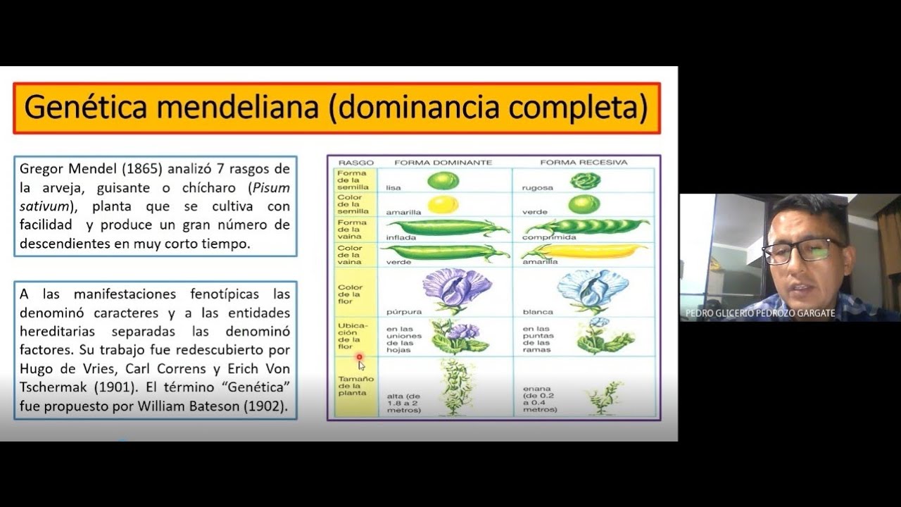 Capítulo 11 (Genética I) de Biología