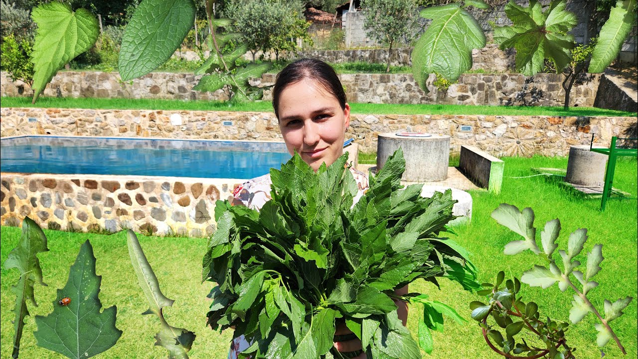 Të njohim Barishtet e Egra dhe ti gatuajmë - Jeta në Fshat - Albanian Vilage Life