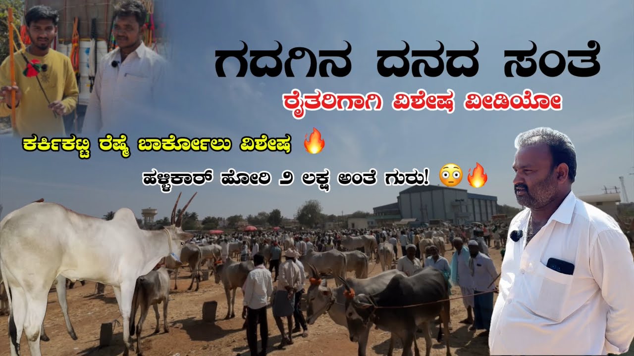 ಜೀವನದಲ್ಲಿ ಇಂಥ ದನದ ಸಂತೆ ನೋಡಿದ್ದೀರಾ?🔥| Gadag Dana Santhe 2026 | Karnataka Biggest Cattle Fair 🐂