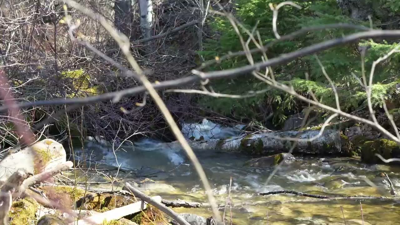 A Hidden Stream