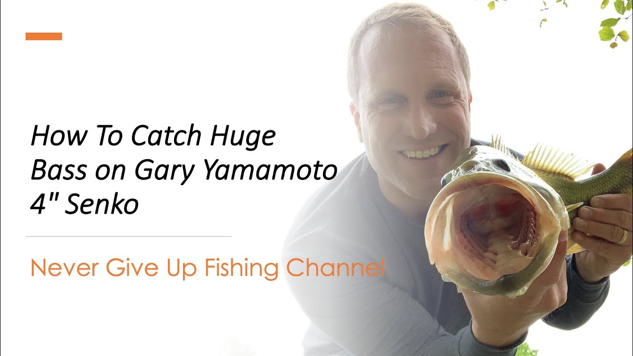How To Catch Huge Bass on Gary Yamamoto 4
