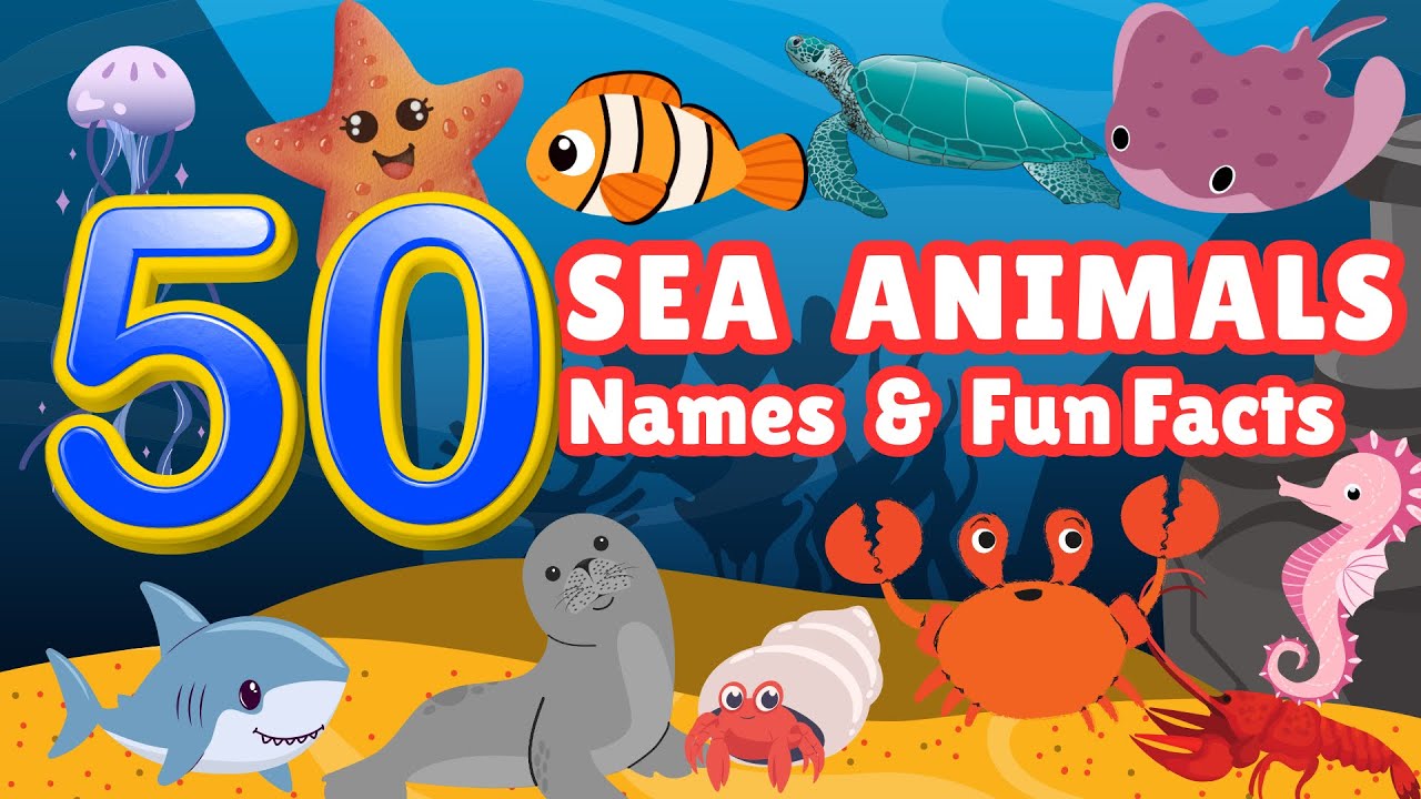 Learn 50 Ocean Animal Names & Cool Facts for Kids | The Ultimate Sea Animal Learning Video for Kids