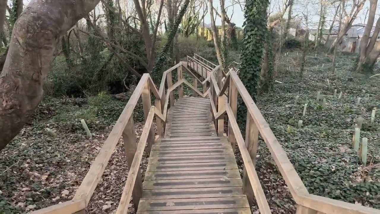 Walk through Lynda’s Wood, Gurnard Isle of Wight