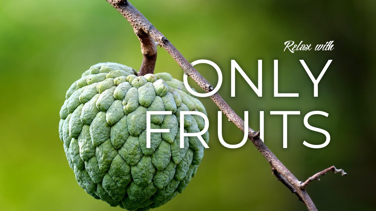 Only Fruit, spring Beautiful Relaxing Music with Fruits, Meditation Music, Sleep Music, Ambient