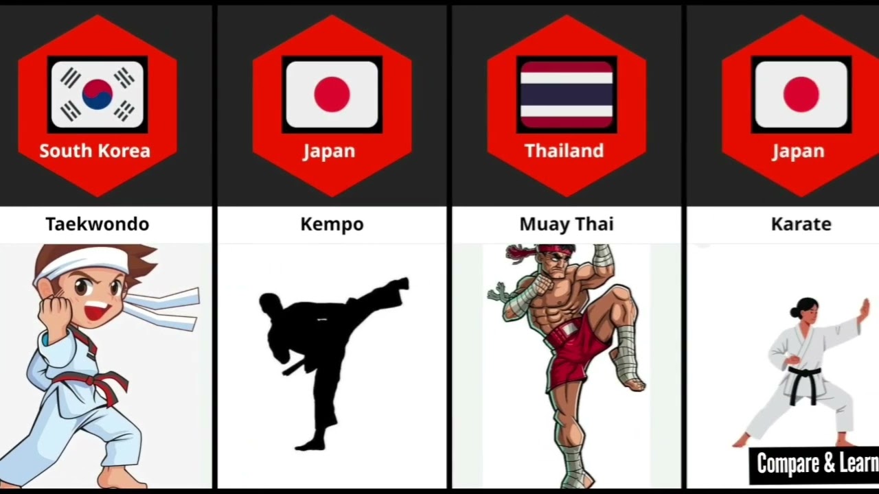 Martial arts from different countries | #martialarts #sports 