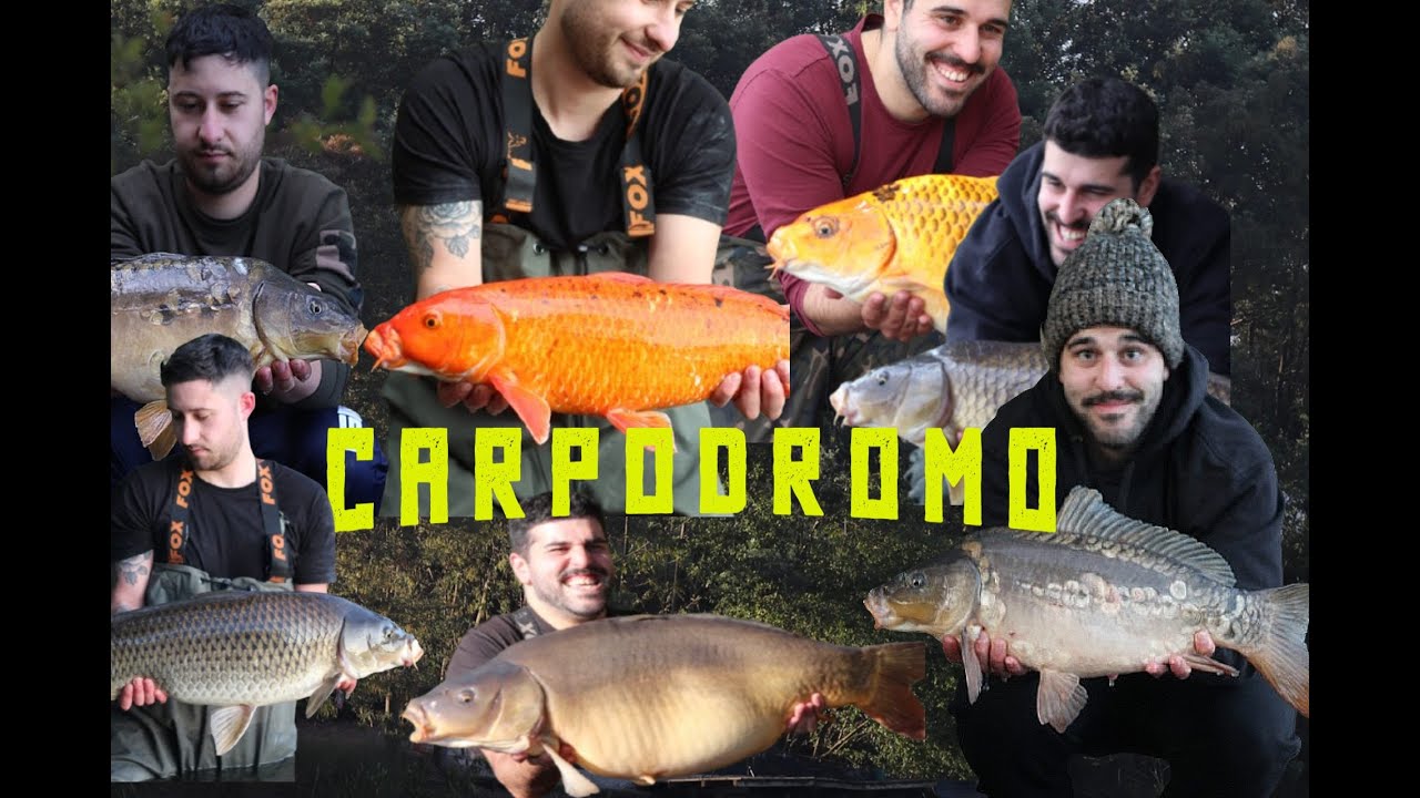 CARPODROMO 2025 | Uma sess&atilde;o fant&aacute;stica | Parte 1