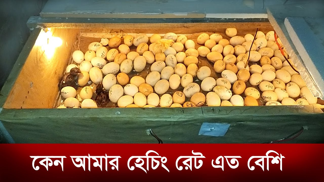 আমি ভিন্ন ইনকিউবেটর ব্যবহার করি না, আমি একই ইনকিউবেটর ভিন্নভাবে ব্যবহার করি | 