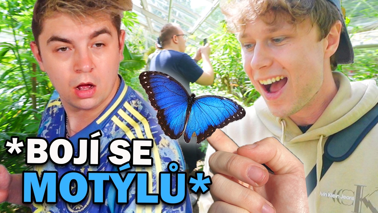 Postavil jsem kamaráda JEHO NĚJVĚTŠÍMU STRACHU (bojí se motýlů)