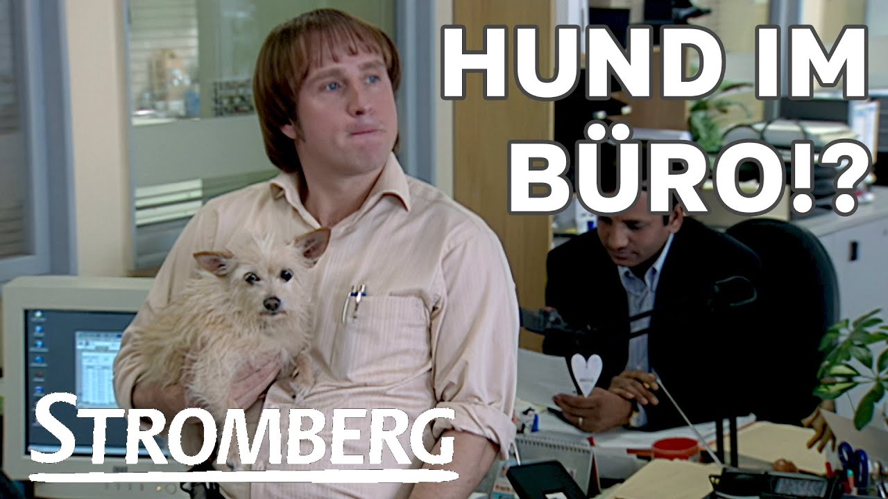 N' Hund im B&uuml;ro?! | Stromberg HD