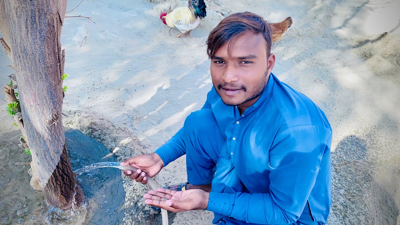 I Became the Home Gardener Today 😄