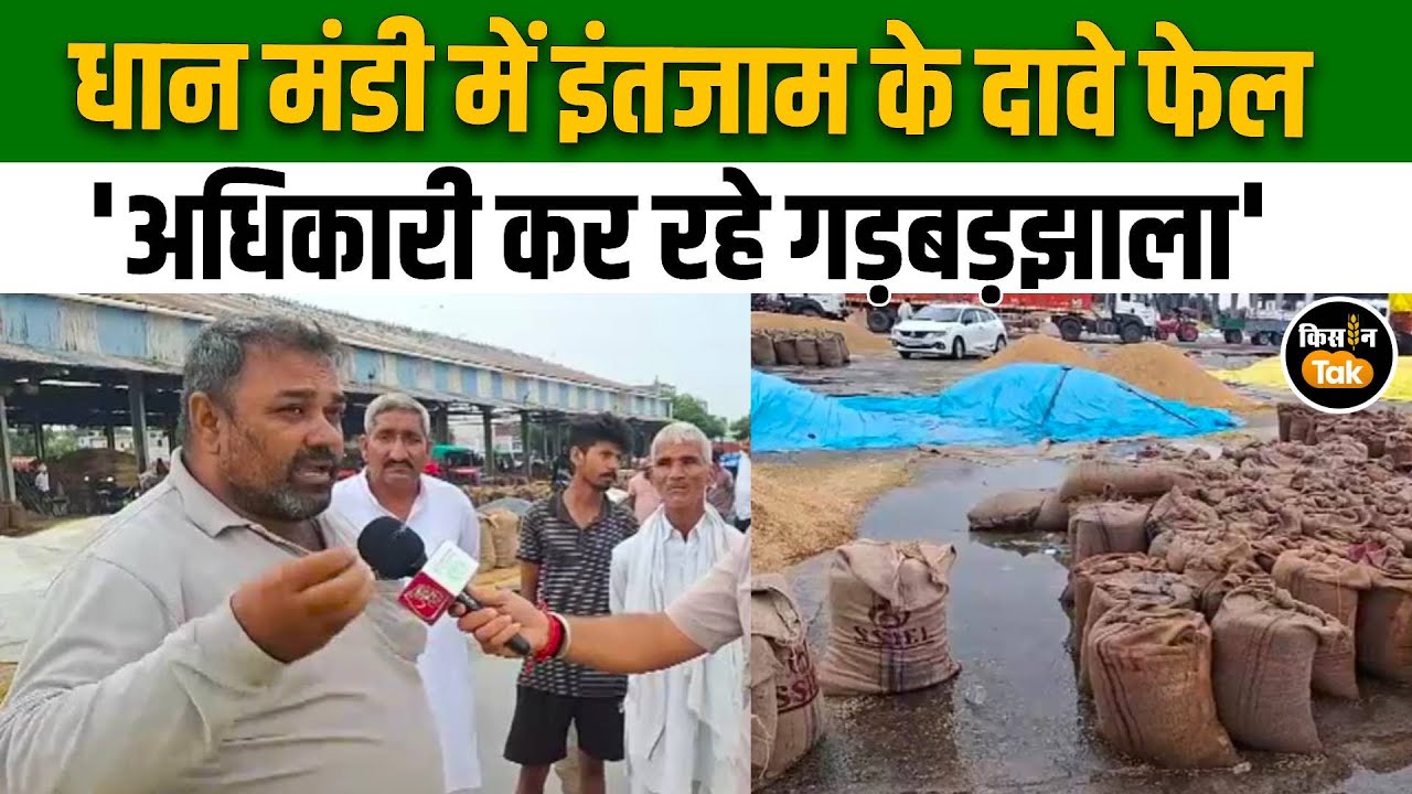 Sonipat News: सोनीपत मंडी में किसानों का हल्ला बोल, फसल भीगने से गुस्सा फूटा