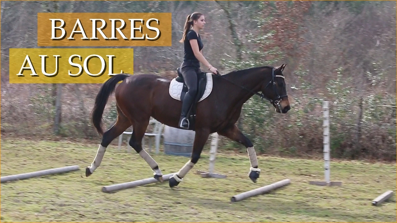 LES BARRES AU SOL - Distances et exercices