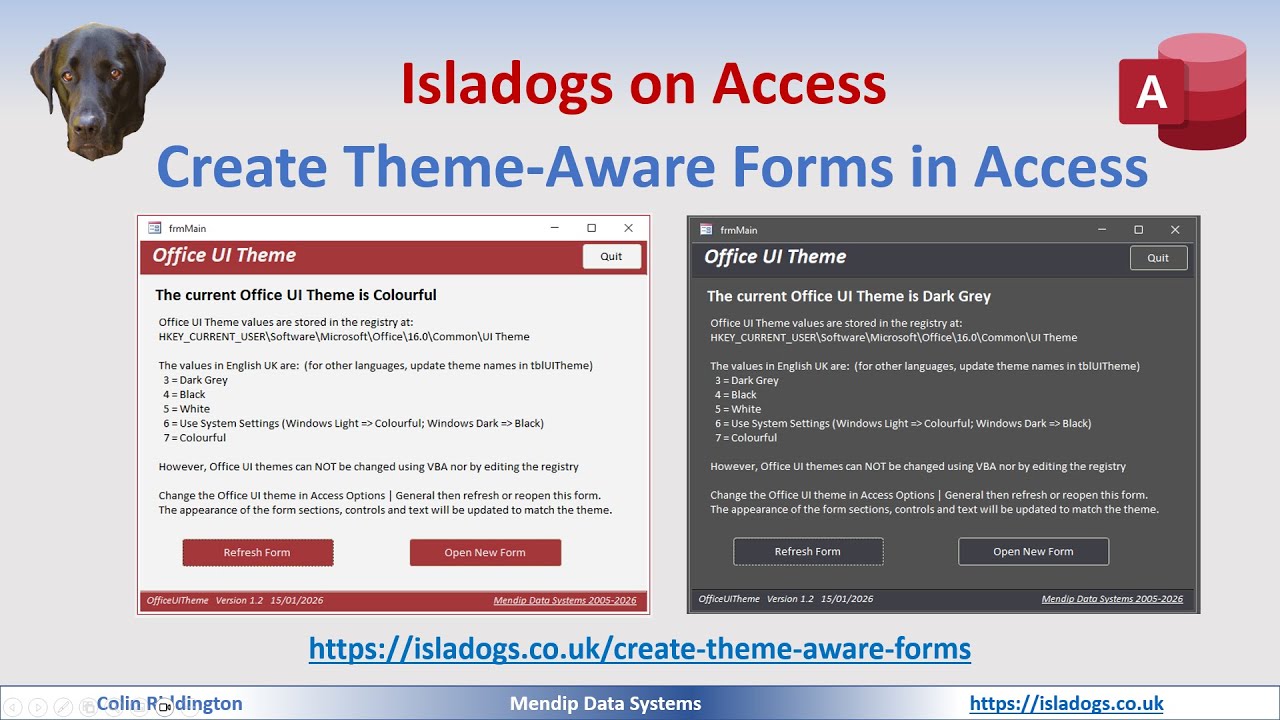 Create Theme-Aware Forms in Access