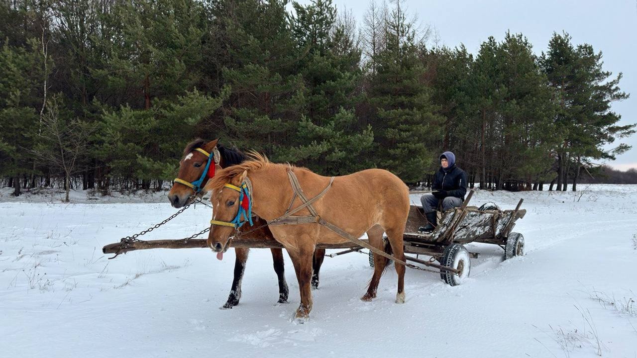 Rural Life in the Carpathians: A Young Guy's Winter Adventure ❄️
