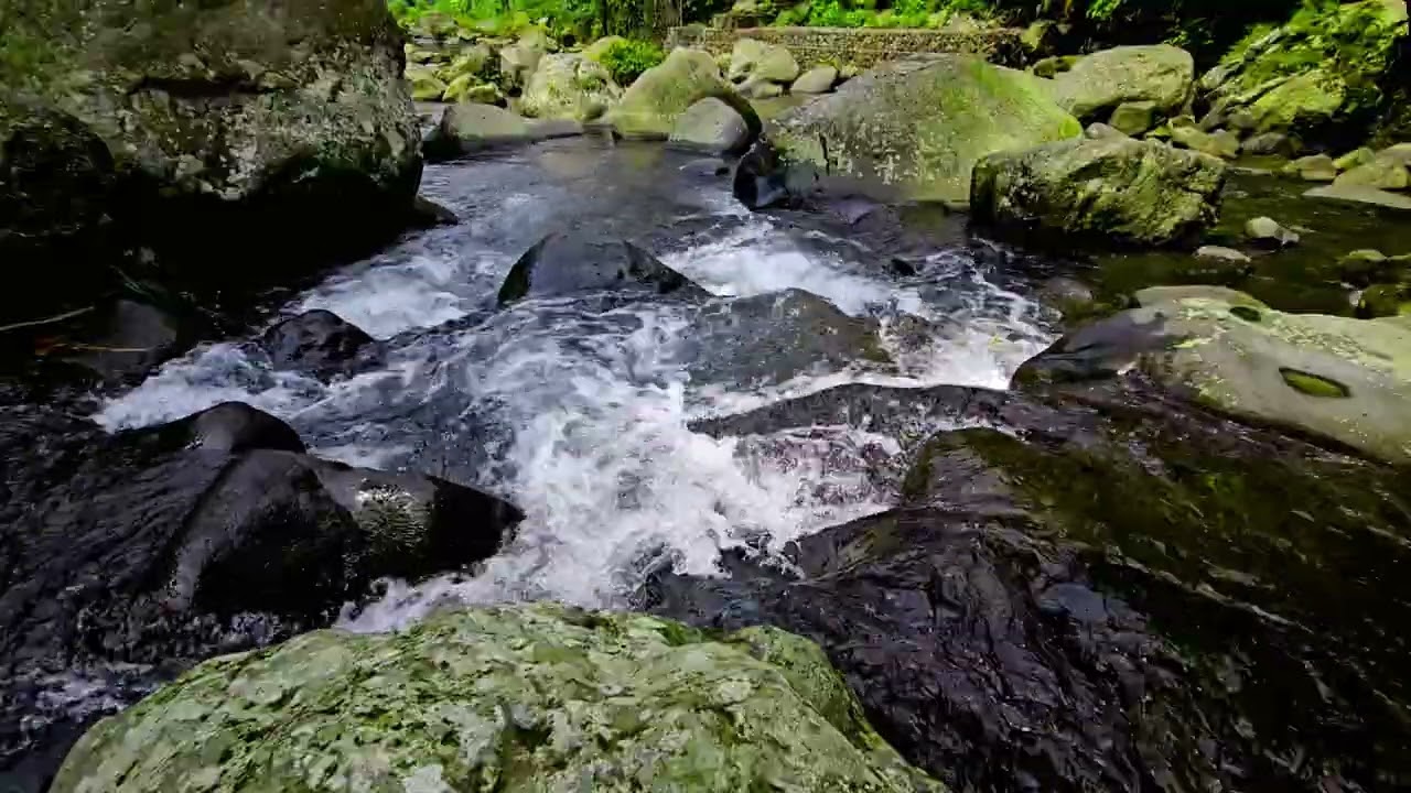 Flowing Mountain Stream ASMR 🌊 Real Water Sounds on Mossy Rocks | 4K Nature Ambience