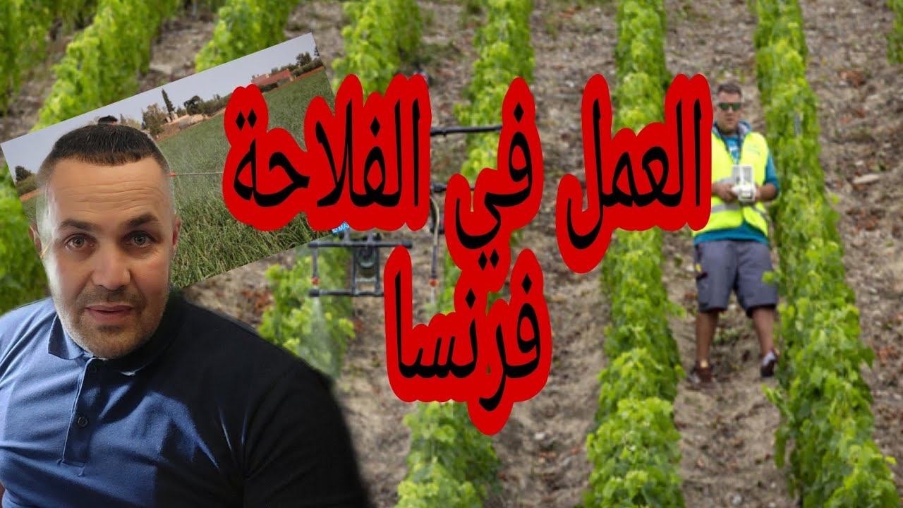 العمل في القطاع الفلاحي للجدد # فرنسا🇫🇷